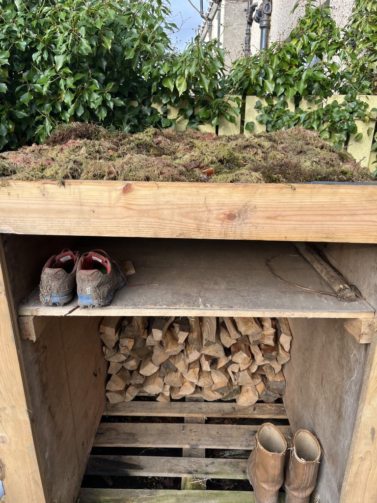 A moss roof on a timber framed outdoor storage unit with dirty boots on the shelves underneath.