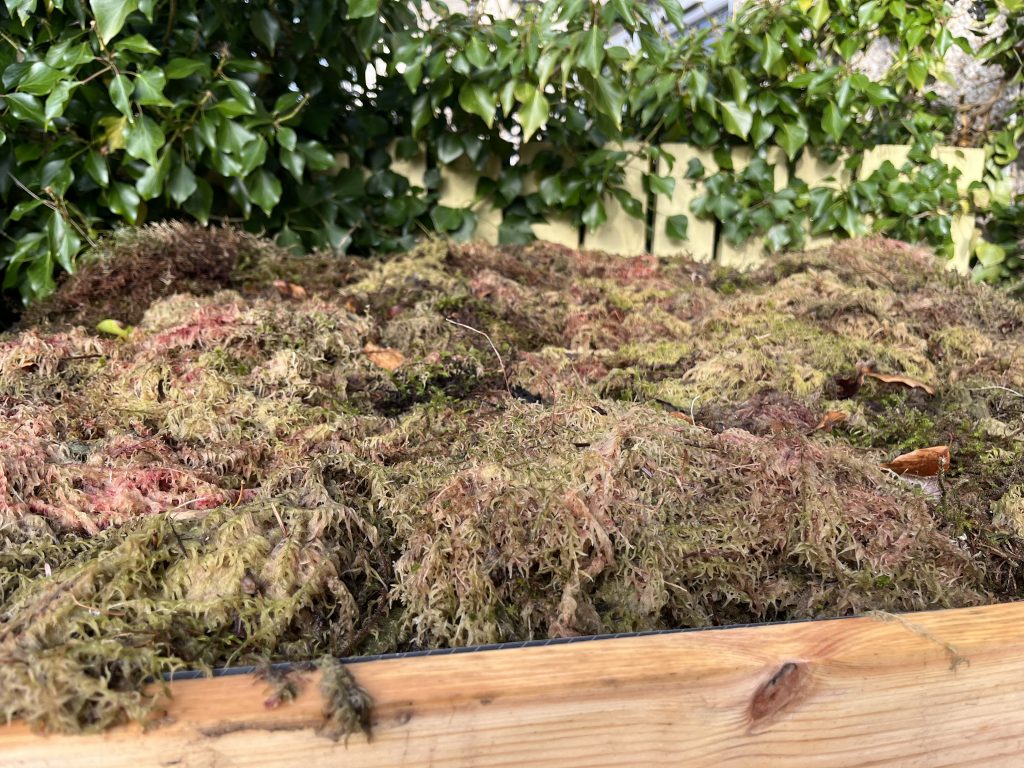 Moss roof on a timber frame.